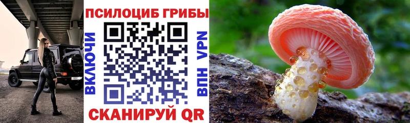 Купить где  Мелеуз  Псилоцибиновые грибы мицелий 
